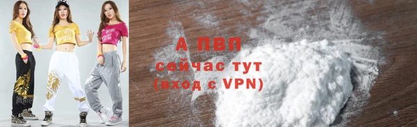 прущие грибы Беломорск