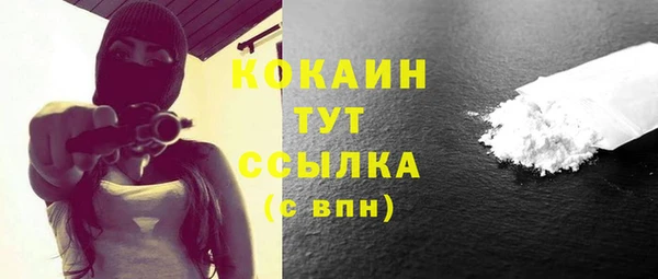 прущие грибы Беломорск