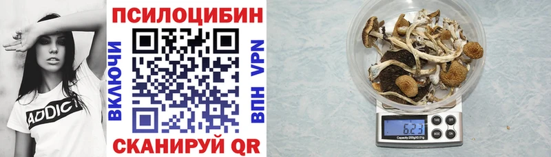 mega онион  цена наркотик  Наро-Фоминск  Псилоцибиновые грибы Cubensis 