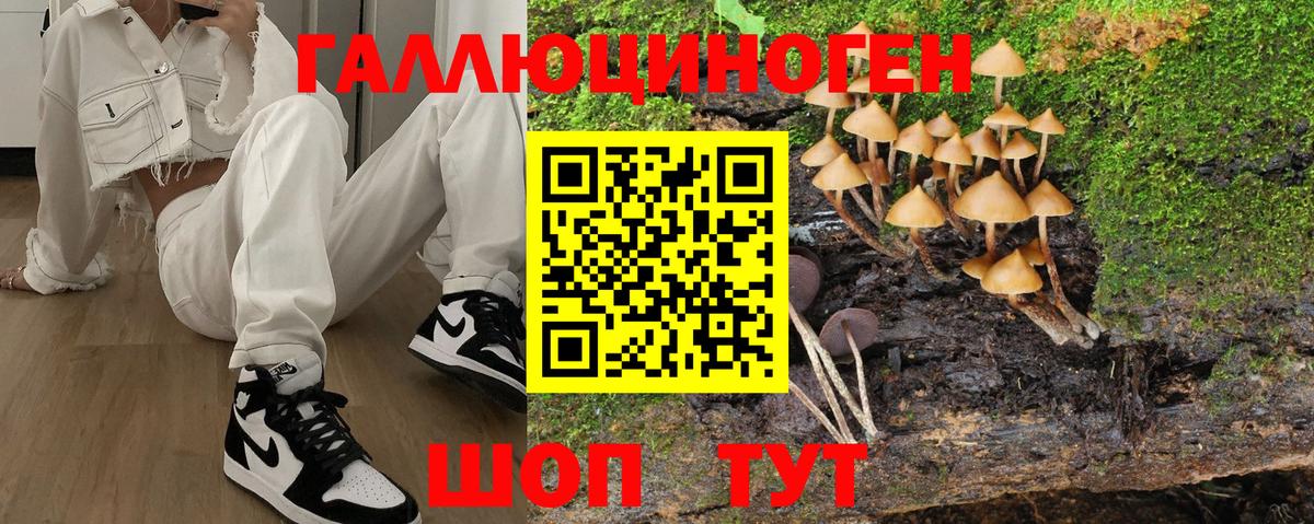 Псилоцибиновые грибы Psilocybe Наро-Фоминск